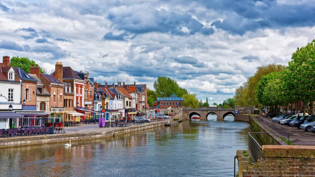 Weed in Amiens, France