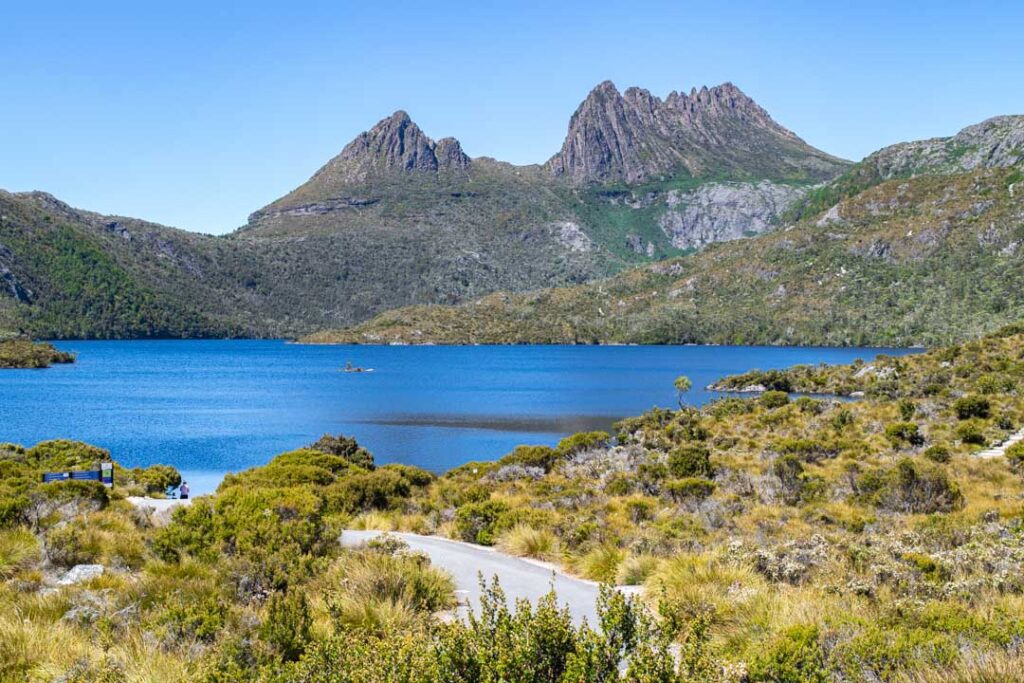 Cannabis/Weed in Tasmania