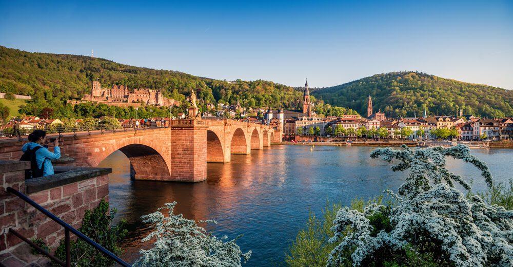 Weed in Heidelberg