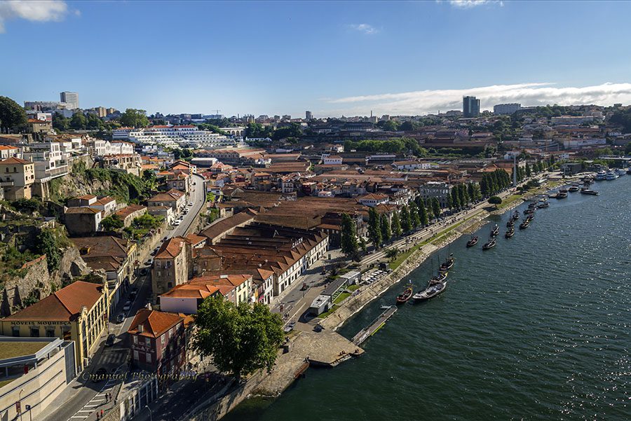 Weed in Vila Nova de Gaia