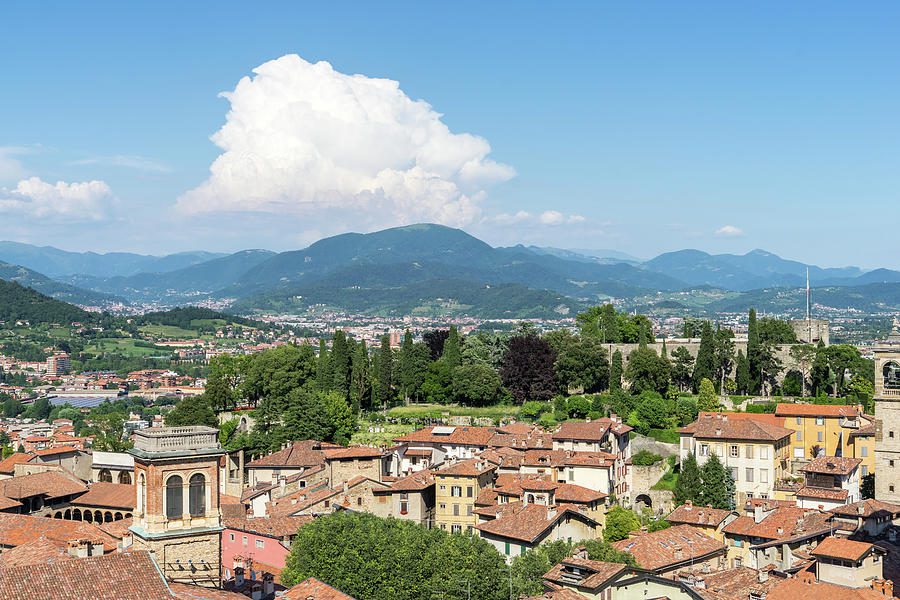 Where to get Weed in Bergamo